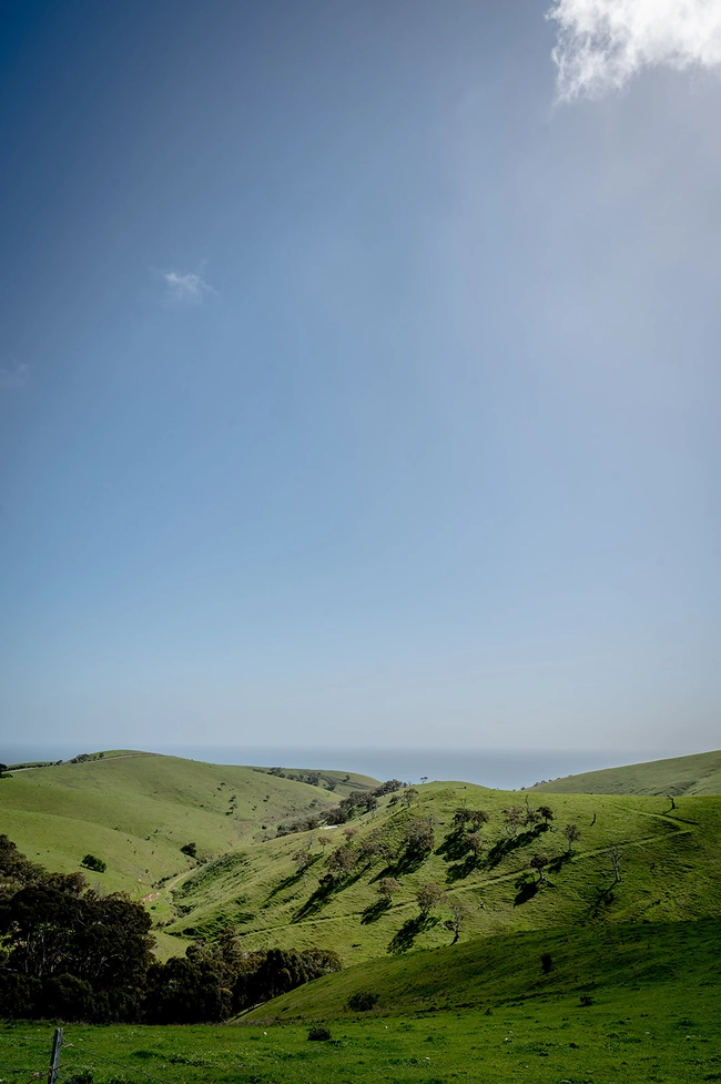 Landscape sweetolivestays