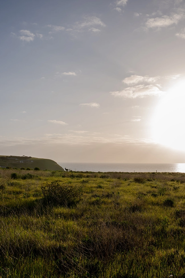 Landscape sweetolivestays